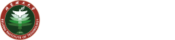 v66体育